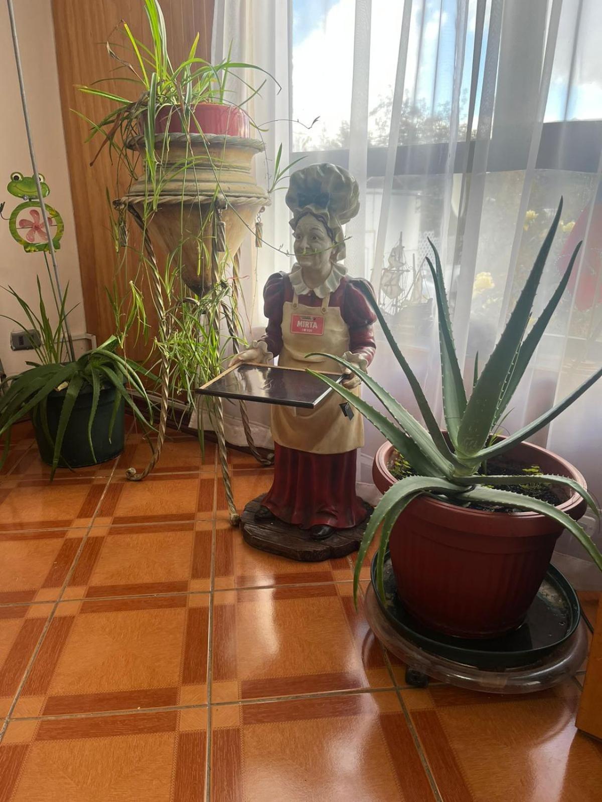 Hostal Espanol Coyhaique Zewnętrze zdjęcie